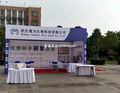 7月—桁架室外展銷會搭建